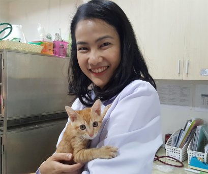 บี้เกิ้ลท้องโย้แต่คลอดไม่ออก คุณหมอช่วยด้วยข้อมูลสัตว์ป่วย “คิตตี้”เป็นแม่แมวร่างน้อย สายพันธุ์ British Shorthair เพศเมีย อายุ 1 ปี เข้ารับการรักษาที่โรงพยาบาลสัตว์ไอเว็ทด้วยอาการคลอดลำบาก โดยเจ้าของสังเกตพบว่าภายหลังจากน้องคิตตี้มีน้ำคร่ำไหลออกทางอวัยวะเ